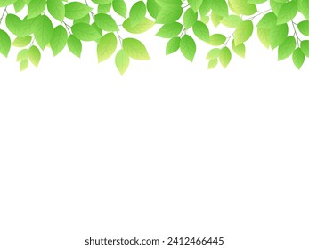 Refreshing fresh green frame illustration