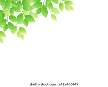 Refreshing fresh green frame illustration