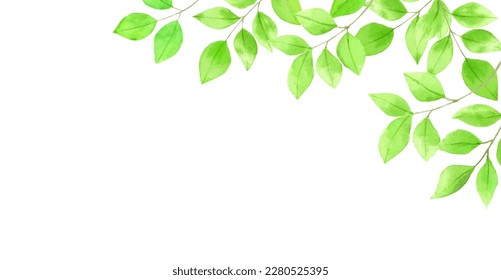 Refreshing fresh green leaves background material painted by watercolors