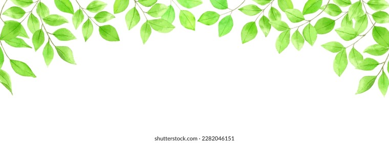 Refreshing fresh green leaves background material painted by watercolors