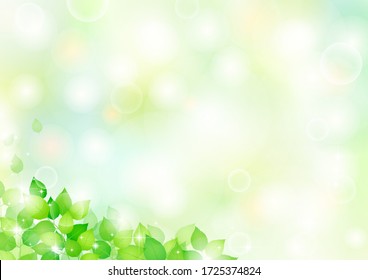 Refreshing green leaves scattered in the wind