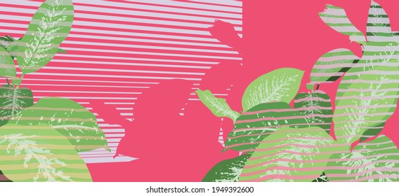 Refreshing green tropical Dumb cane plants on pink background with light from window blinds effect, simple and clean flat style illustration, background template