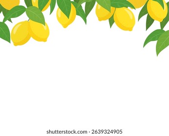 Refreshing lemon frame vector illustration