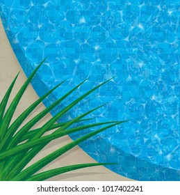 Refreshing swimming pool edge with blue tile. Tropical spiky plant overhanging pool edge.  Ample copy space. Easy-edit layered file.