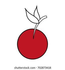 Refreshing vegetable tomato