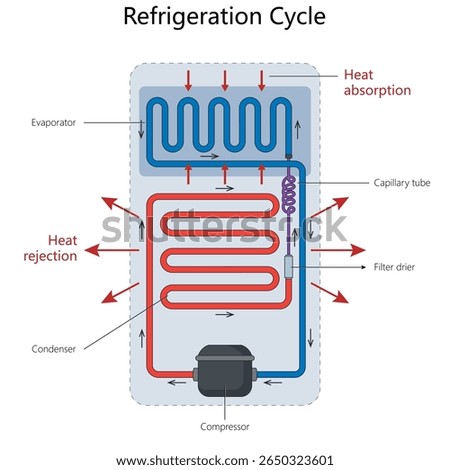 refrigeration cycle, showing heat absorption and rejection using labeled evaporator, condenser, and compressor diagram hand drawn schematic vector. Science educational illustration