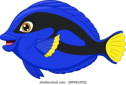Regal blue tang cartoon on white background