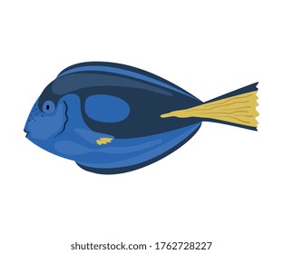 Regal Tang Fish, Marine Life Element, Sea or Ocean Creature Vector Illustration