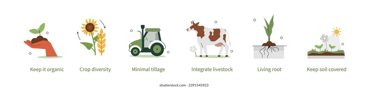 Agricultura regenerativa, biología conservacionista, conjunto de conceptos de manejo holístico. Resistencia al cambio climático y restauración de la ecología mediante la agricultura sostenible. Ilustración de vectores aislada  