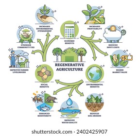 Esquema del ciclo de agricultura regenerativa y prácticas de sostenibilidad. Plan educativo etiquetado con ilustración de vector de agricultura natural y ecológica. Protección de la biodiversidad con jardinería