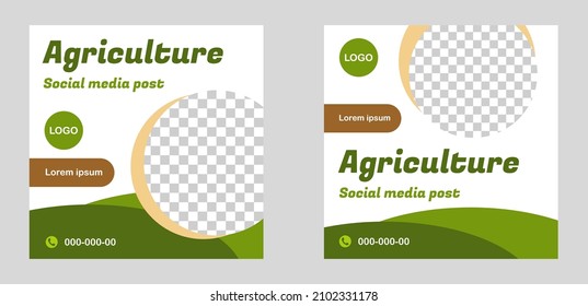 Regenerative agriculture social media post template, permaculture web banner set, ecological farm square advertisement, vegetables campaign editable, isolated on background.