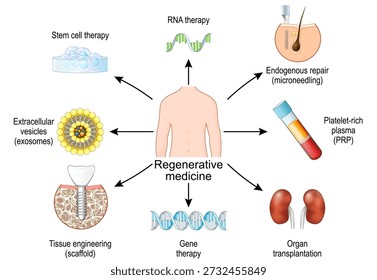 Medicina regenerativa. Terapia con células madre. Futuro de la salud, cicatrización de heridas, ingeniería de tejidos y medicina personalizada. Ilustración vectorial. Diagrama médico