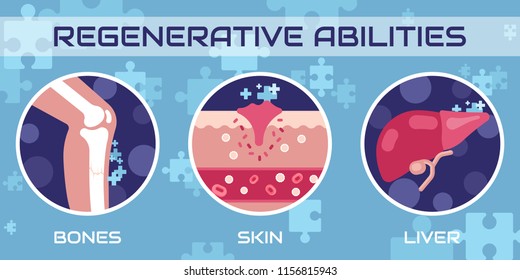 Regenerative Medicine, Vector Illustration