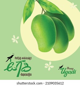 Regional telugu new year festival - hanging mangoes