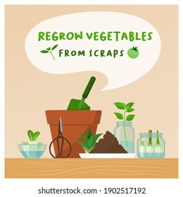 Regrow vegetables from scraps at home: zero waste, DIY gardening and healthy food concept