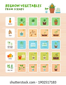 Regreso de verduras de la infografía de chatarra: jardinería en el hogar, basura cero y concepto de alimentos orgánicos saludables