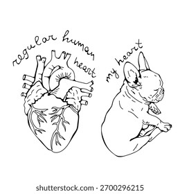 Corazón humano regular vs mi corazón