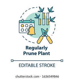 Regular prune plant concept icon. Home potted flower caring. Cutting off dead branches or stems idea thin line illustration. Vector isolated outline RGB color drawing. Editable stroke
