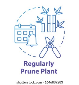 Regular prune plant concept icon. Home potted flower caring. Cutting off dead branches or stems idea thin line illustration. Vector isolated outline RGB color drawing