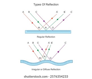 Regular reflection and irregular reflection of light, physics vector illustration,Reflection of light is the simple phenomenon of the light bouncing back after falling on an object. 