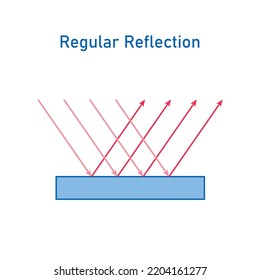 reflexión regular del diagrama de luz.