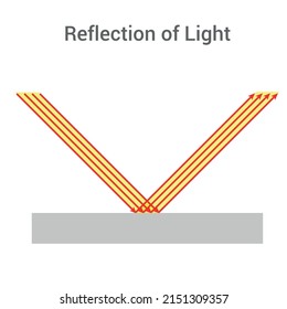 Regular reflection of light. Diagram of specular reflection vector illustration isolated on white background