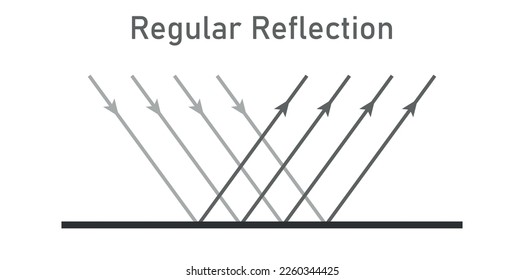 Regular reflection of light diagram. Vector illustration isolated on white background.