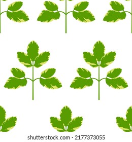 Regular seamless background made from the leaves of the plant