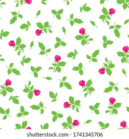 Fondo transparente regular Roses sobre fondo blanco