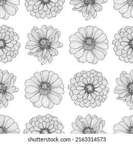 Regular seamless pattern from Zinnia flower heads drawings in black outline on a white background. Decorative print for wallpaper, wrapping, textile, fashion fabric or other printable covers.