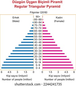 Regular Triangular Population Pyramid, illustrator