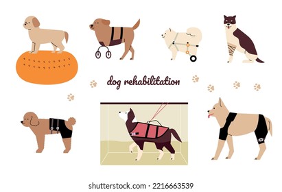 Rehabilitation therapy for dogs. Dogs with walking aids. flat vector illustration.