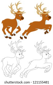 Reindeer