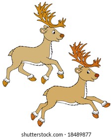 Reindeer