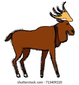 Reindeer animal cartoon