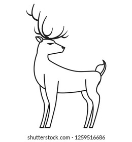 reindeer animal on white background