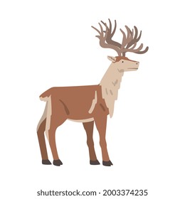Reindeer Arctic Animal, Wild Polar Mammal Cartoon Vector Illustration