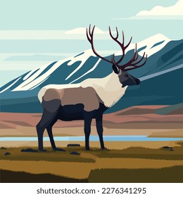 Reindeer in arctic tundra. Arctic animals in natural habitat. Flat vector illustration concept