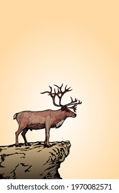 A reindeer with big antler posturing on top of a cliff. Hand drawn vector illustration.