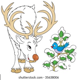 Reindeer and bird