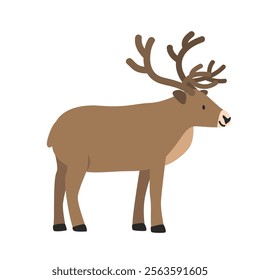 Reindeer cartoon clipart. Reindeer or caribou vector illustration in flat style. Hand-drawn wild animal concept