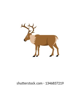 Reindeer cartoon vector on a white background