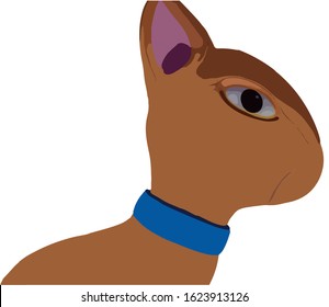 Reindeer cartoon vector, white background.