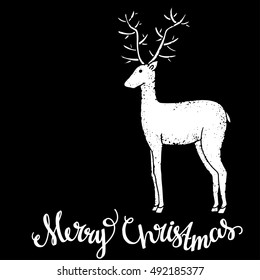Reindeer. Christmas card. Merry Christmas handwritten calligraphy text. Hand drawn isolated on black, chalk board background. Space for text. Vector design