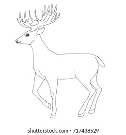 Reindeer for coloring book page. Hand drawn christmas deer vector illustration.