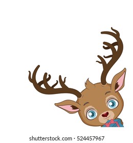Reindeer in corner with blank background