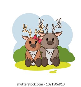 reindeer couple cute animal in the landscape