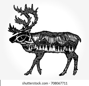 Reindeer double exposure animals t-shirt design. Symbol tourism, travel, far north 