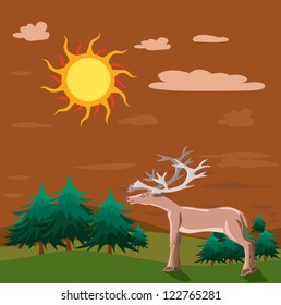 Reindeer with evening time.