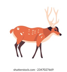 Reindeer in flat cartoon style. Isolated on white background deer. Vector illustration.